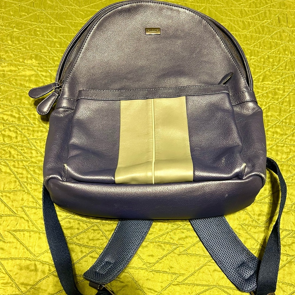 Ted Baker London Blue and Green Leather Backpack